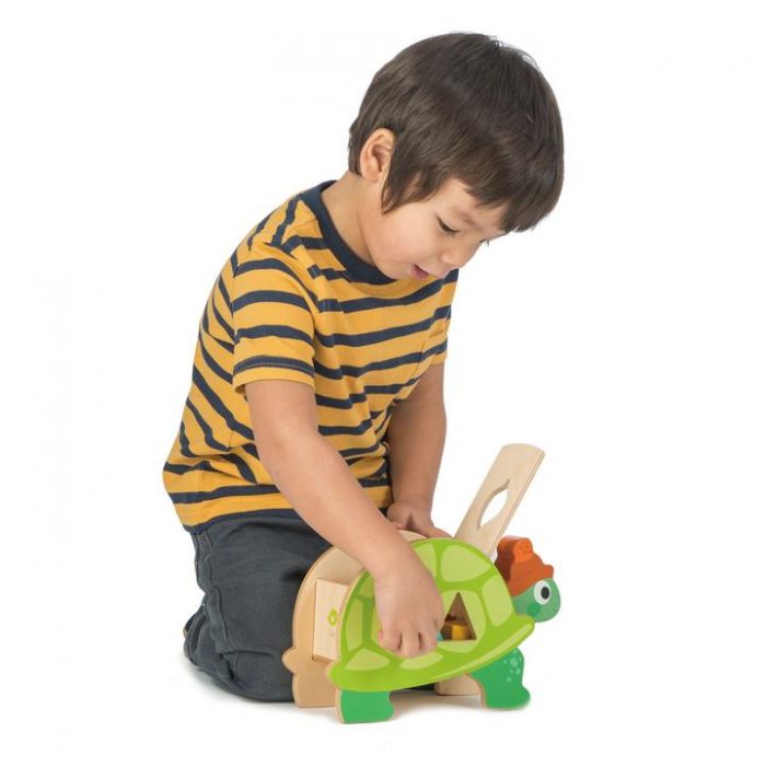 boy playing with tortoise shape sorter toy