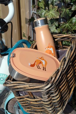 the zoo flask fox with lunchbox