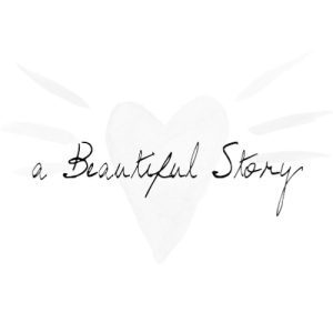 a beautiful story logo