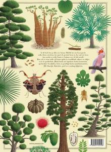 Het grote bomen boek Kleine Planeet