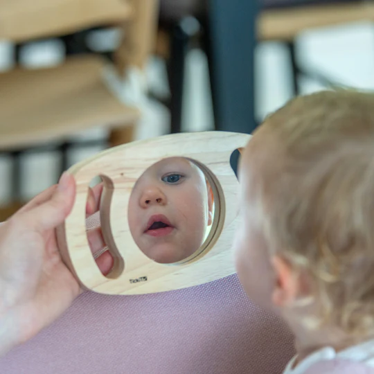 Tickit Gemakkelijk vast te houden vliegtuigspiegel - hout